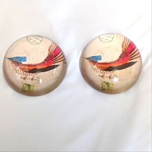 Pair of glass dome shaped paper weights. Pheasant like Bird graphics.